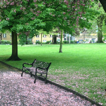 Vauxhall Park Vauxhall Park